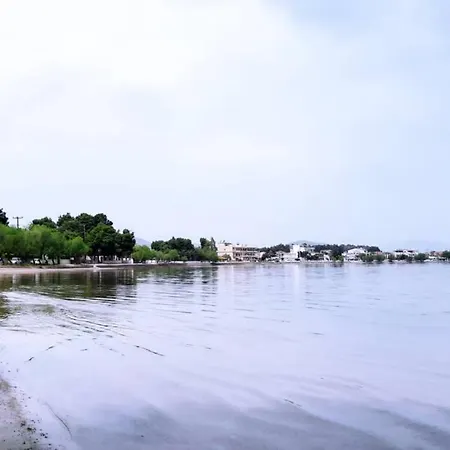 πολυτελές 3 χαλκίδα-παραλία αυλίδος Διαμέρισμα Paralia Avlidhos